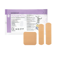 Washproof Plasters